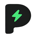 PunchPlay logo